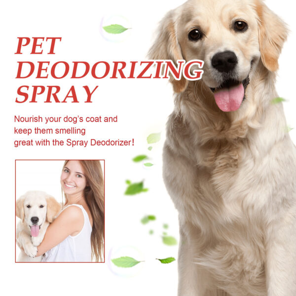 YEGBONG Pet Deodorant Spray Indoor Deodorant - Image 4